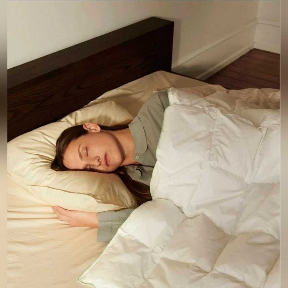 NIB FOSSFLAKES Nordic Sleep, Duvet Comforter Anti-Allergenic Filling Queen